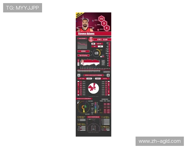 火箭队全体球员名单及介绍详细数据汇总