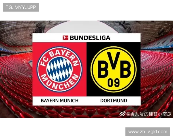 德甲中的国家德比足球队详细介绍 德甲中的国家德比足球队详细介绍