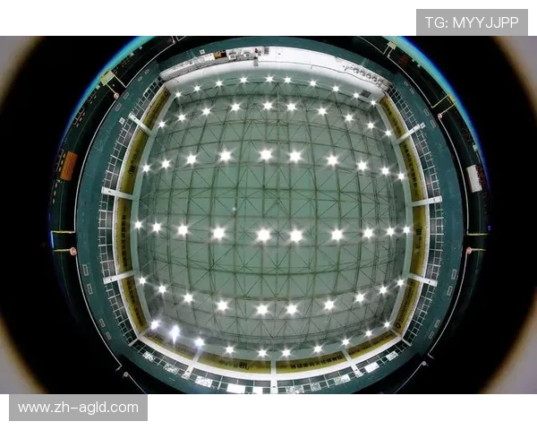 羽毛球健身网站